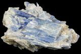 Vibrant Blue Kyanite Crystal - Brazil #80373-1
